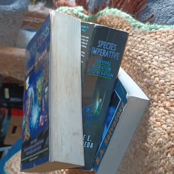 Large Paperback Deep Space Nine: Twist of Fate - Picture 2 of 4